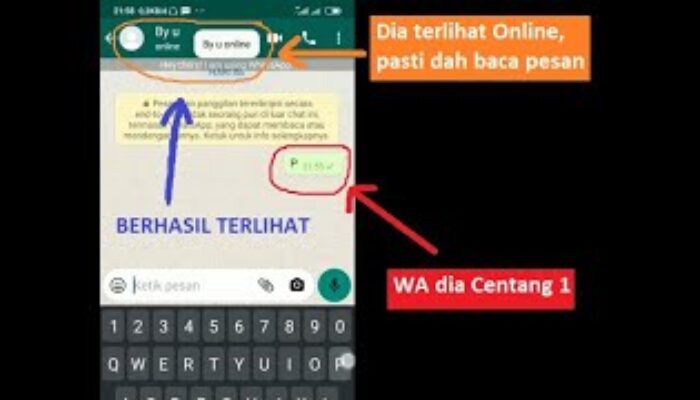 Cara Melihat Kontak Whatsapp Centang 1 Baca Pesan atau Belum