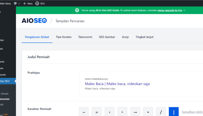Download File JSON Import Setting Plugin All In One Seo WordPress