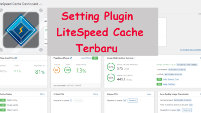 Cara Setting LiteSpeed Cache Plugin WordPress